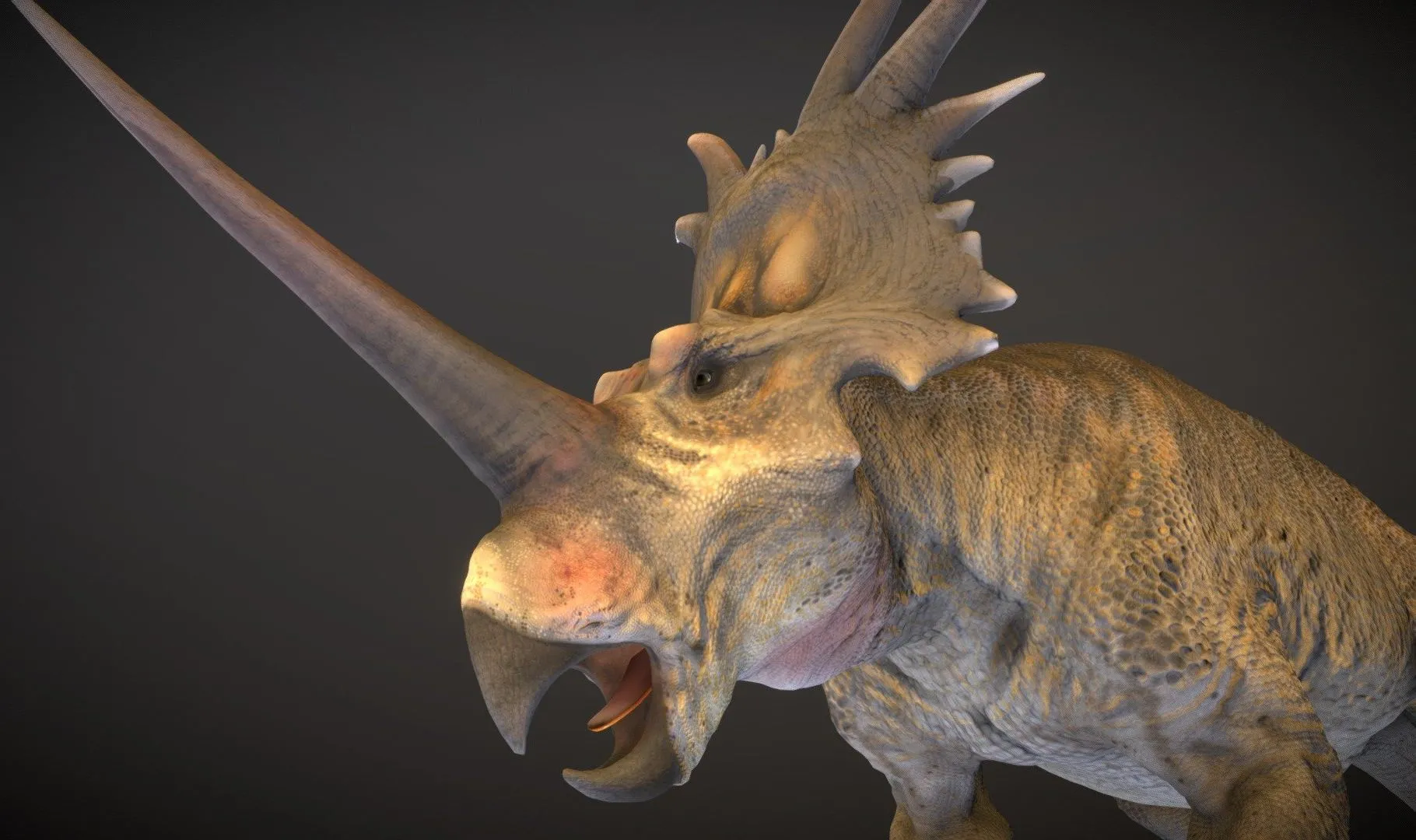 PBR Game 3D Models - Styracosaurus