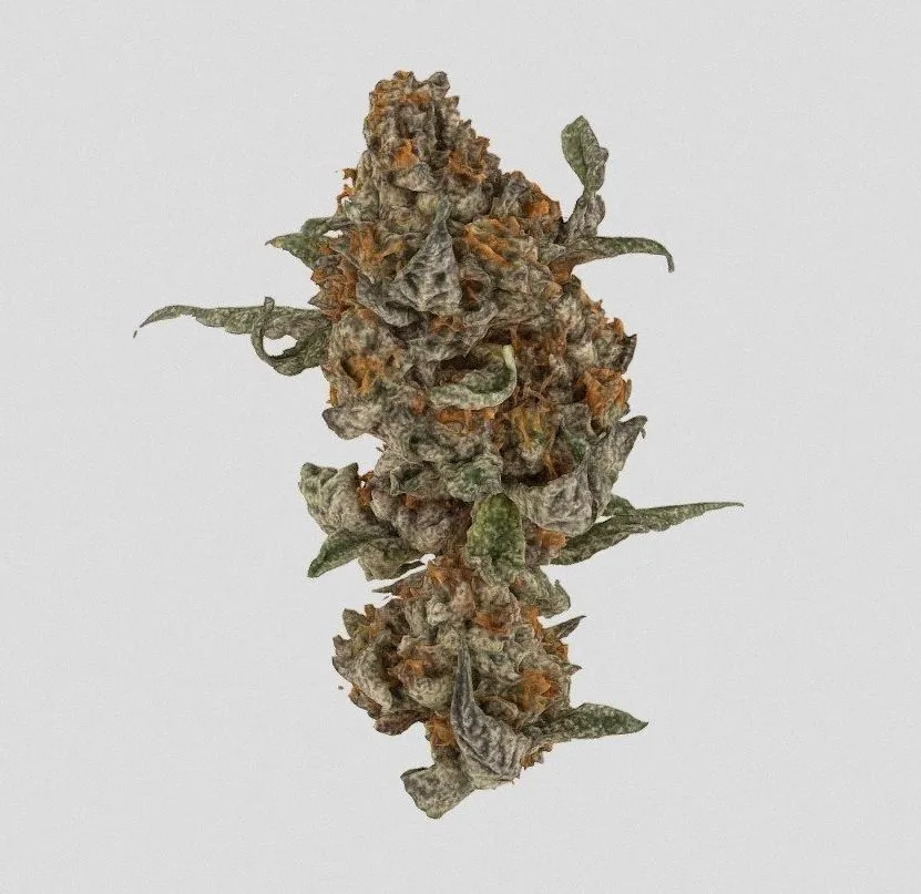 PBR Game 3D Models - Superweed1