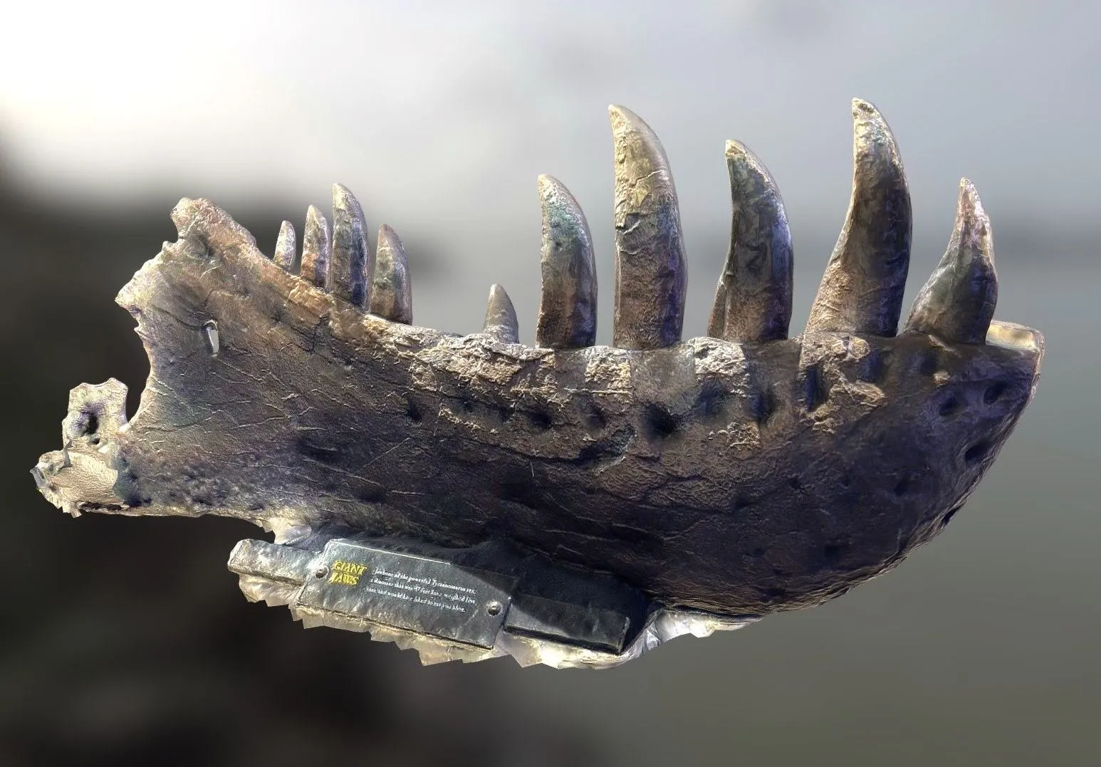 PBR Game 3D Models - T Rex Partial Lower Jaw