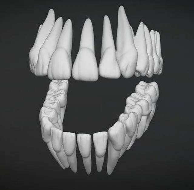 PBR Game 3D Models - Teeth Dientes