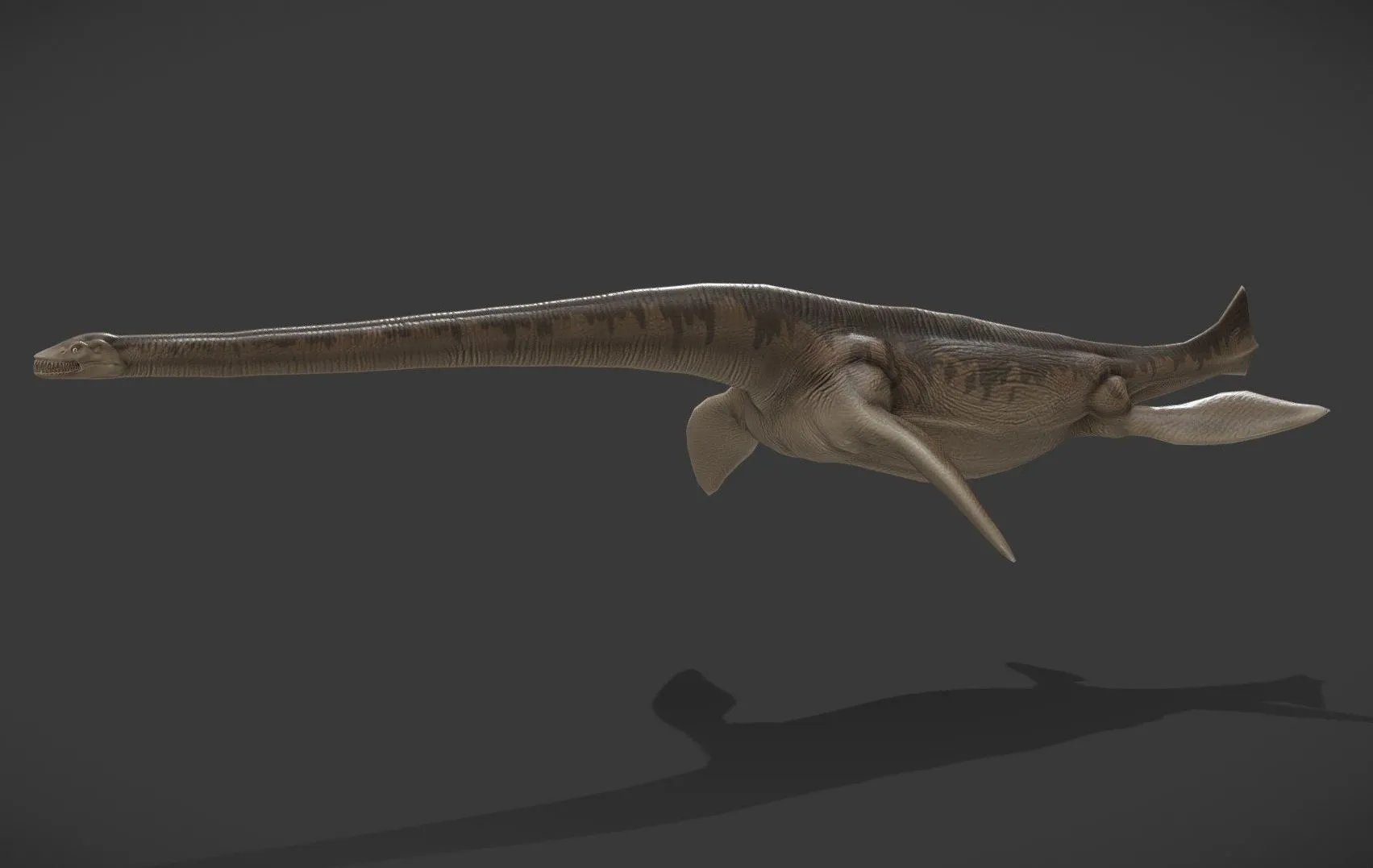 PBR Game 3D Models - Thalassomedon Haningtoni