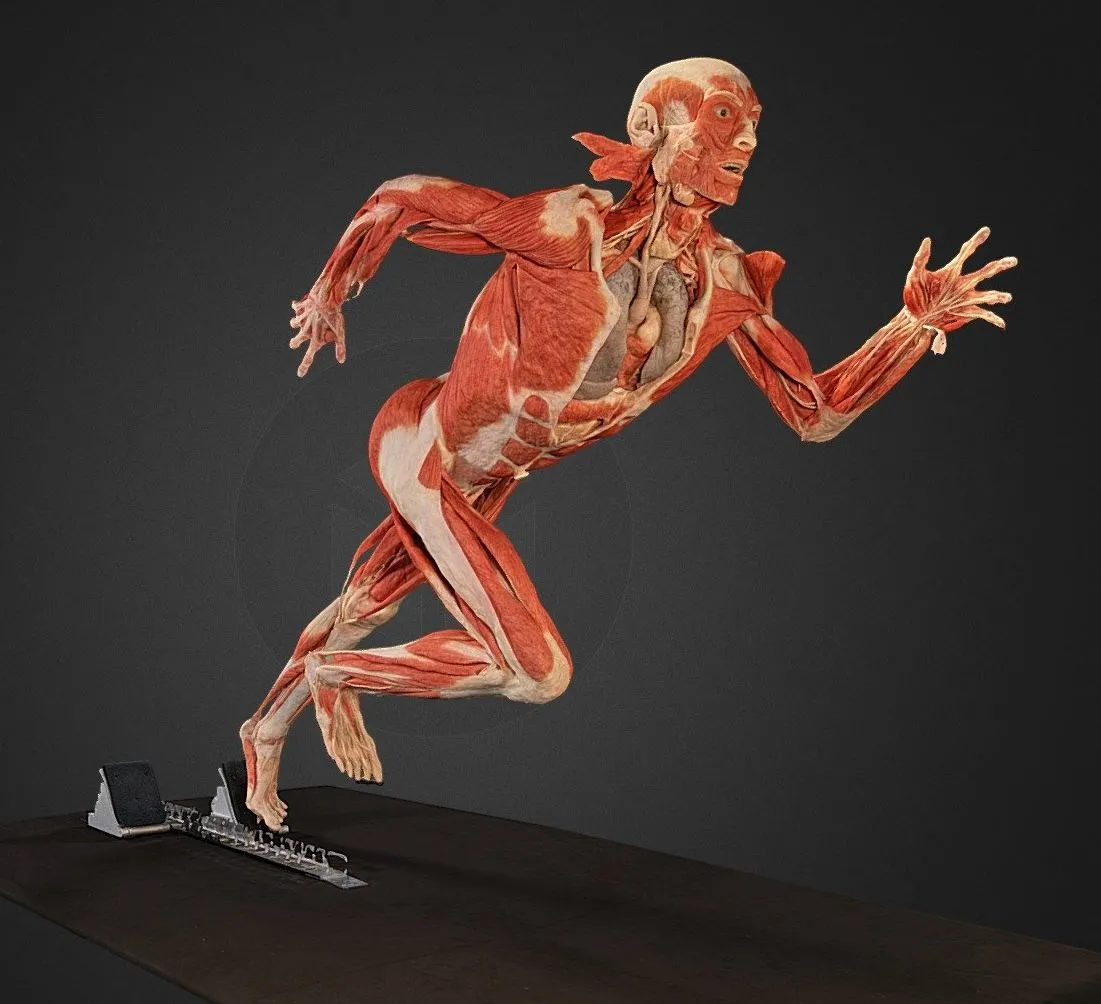 PBR Game 3D Models - The Runner