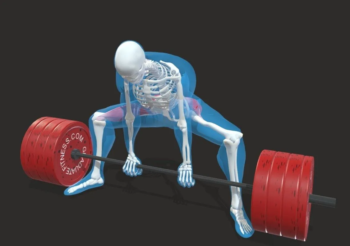 PBR Game 3D Models - The Sumo Deadlift