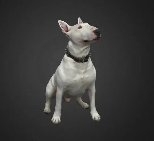 PBR Game 3D Models - Travis