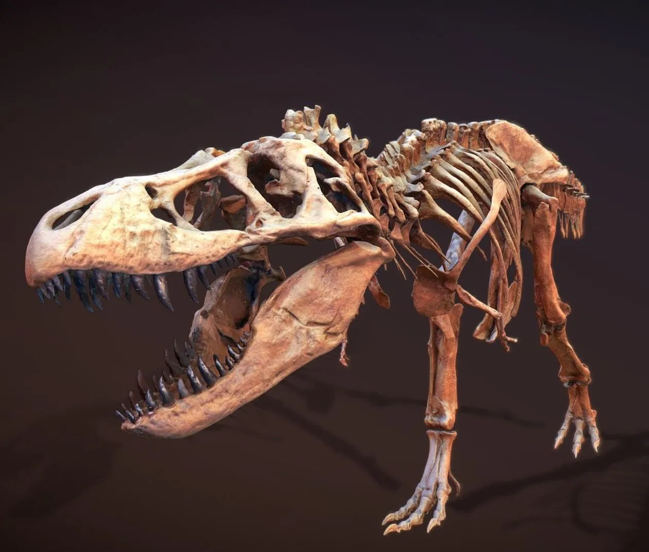 PBR Game 3D Models - Wankel Tyrannosaurus Rex Mor 555
