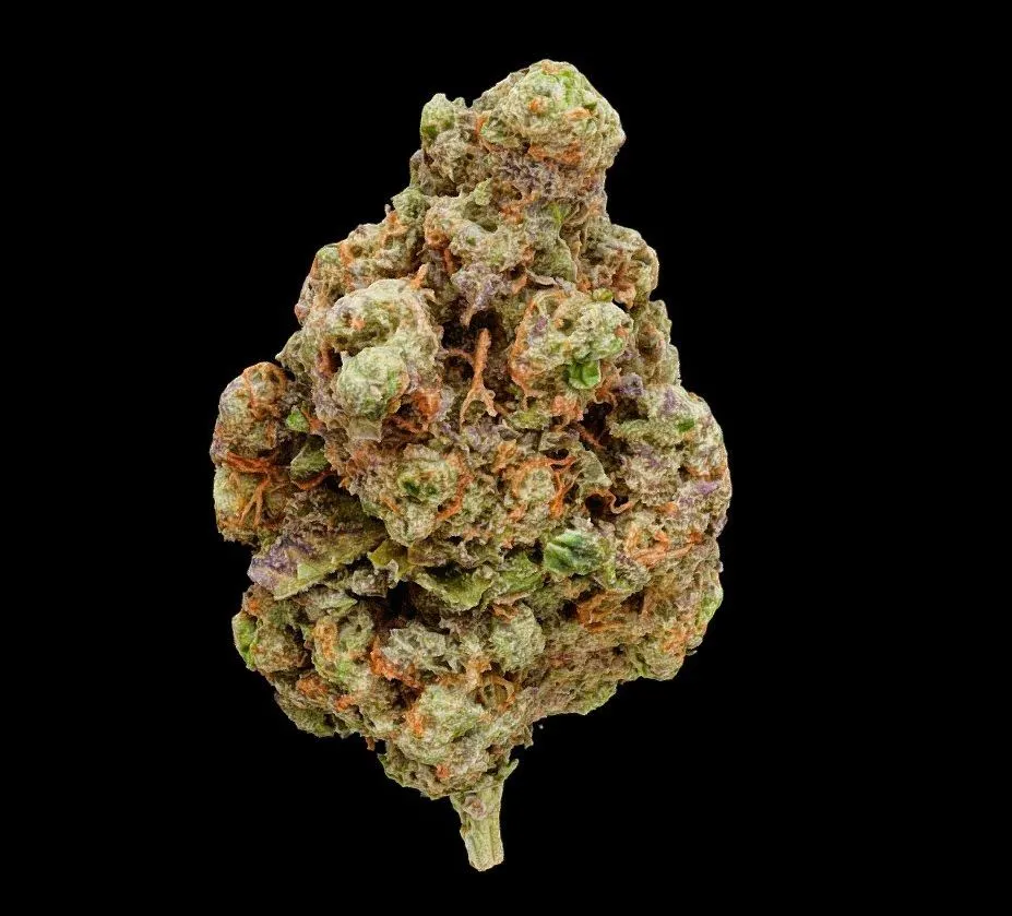 PBR Game 3D Models - White Papaya Cannabis Model