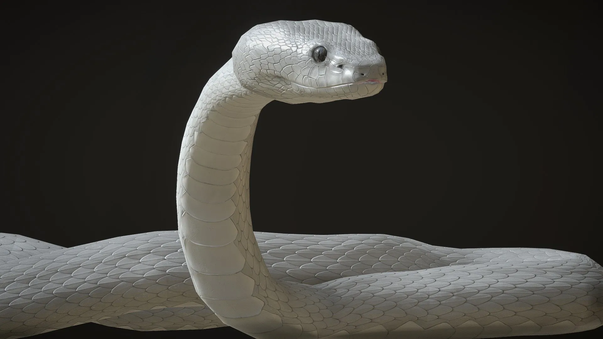 PBR Game 3D Models - White Viper Snake With Animations