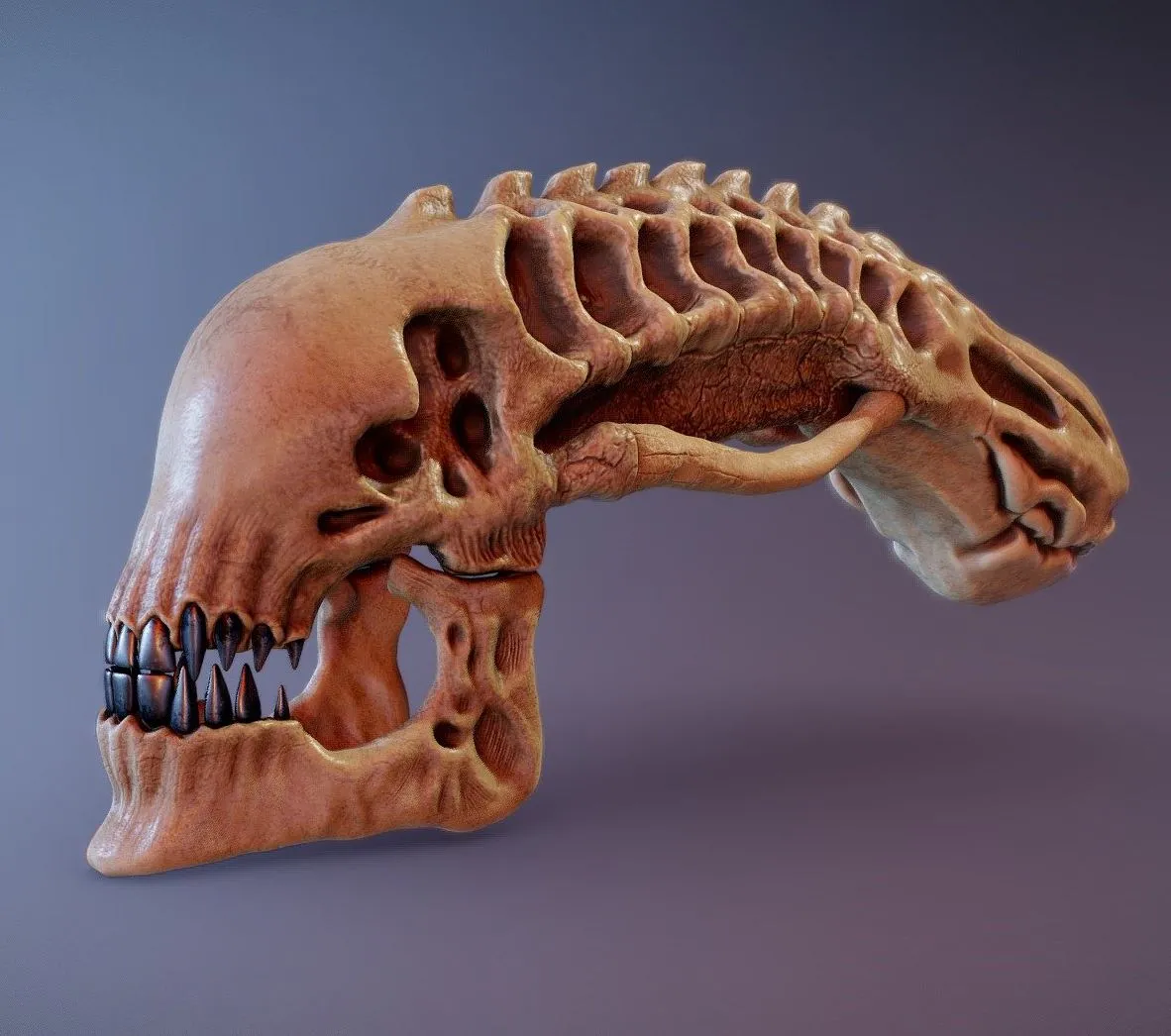 PBR Game 3D Models - Xenomorph Skull