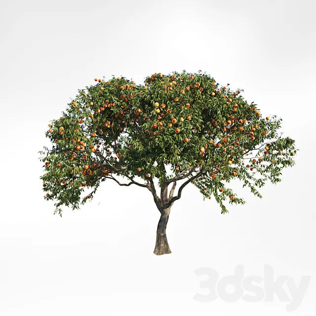 peach tree 2 Free Download