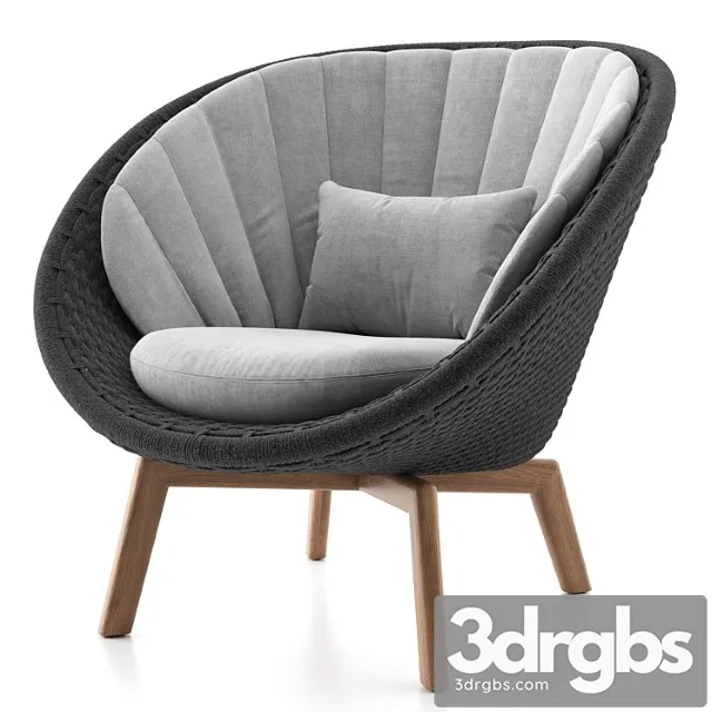 Peacock lounge chair