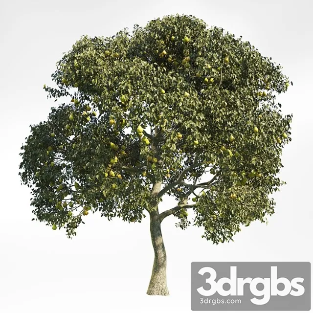 Pear Tree 8 Free Download