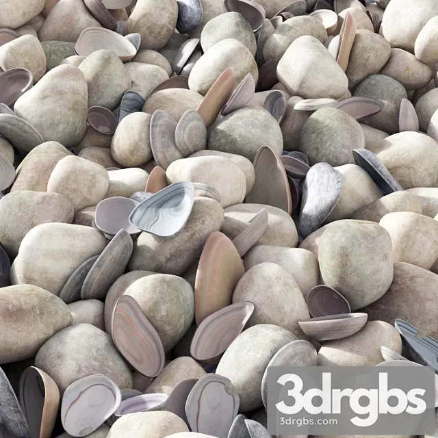 Pebble Sea Morskaia Galka 3D Model Free