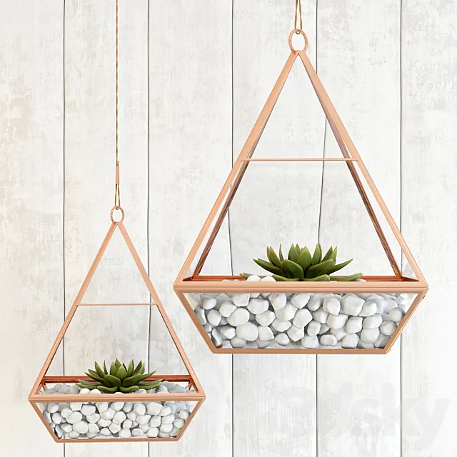 Pedant succulents 3D Model