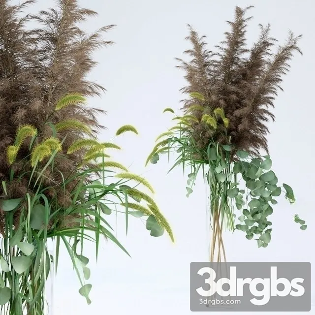 Pennisetum Pampas Grass Eucalyptus 3D Model Free