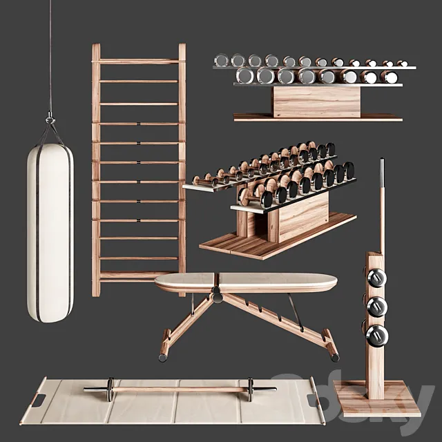PENT. luxury fitness equipment 3DModel