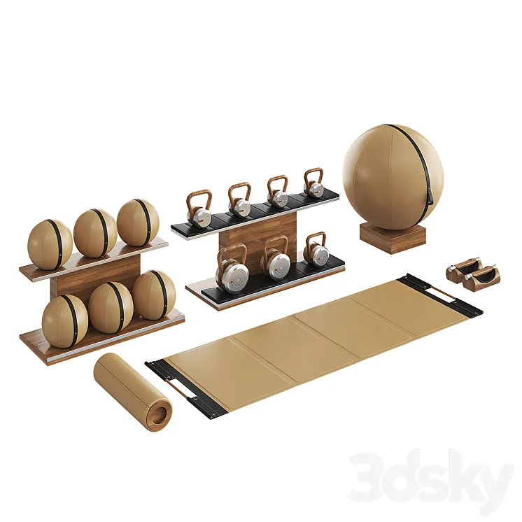 PENT luxury fitness equipment part 4 3D Model Free