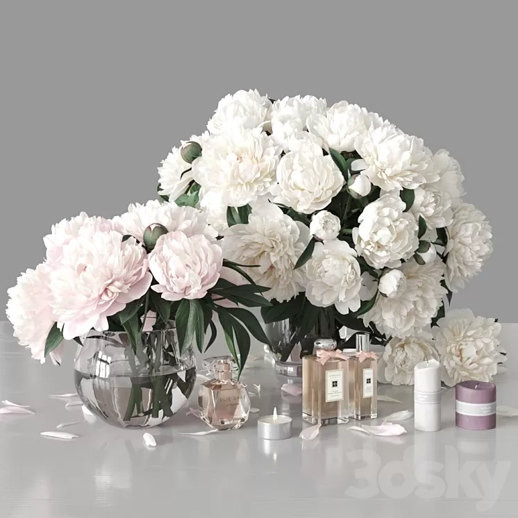Peonies 2 3D Model