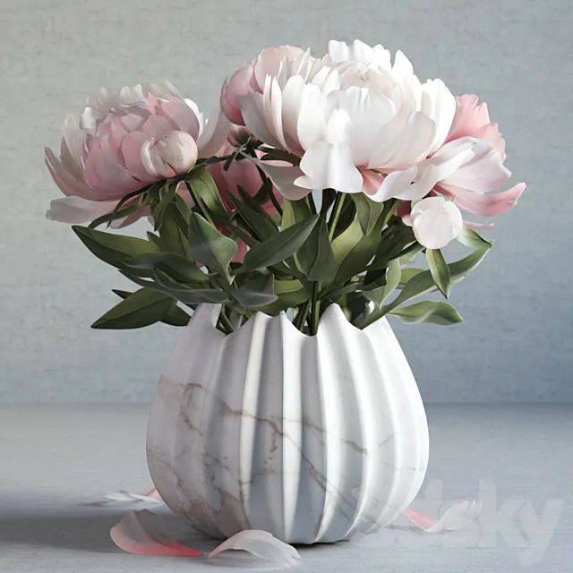 peonies 3DModel