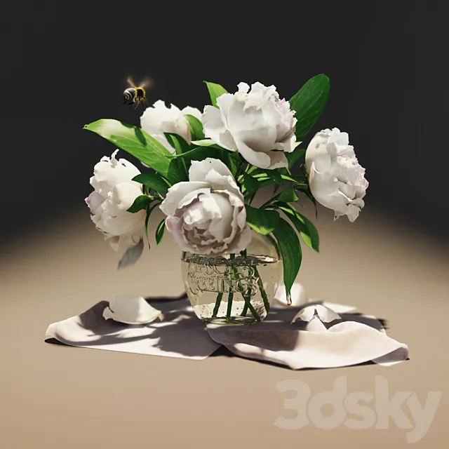 Peonies 3DModel