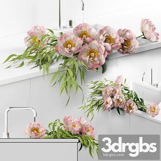 Peonies in sink 3D Model Free