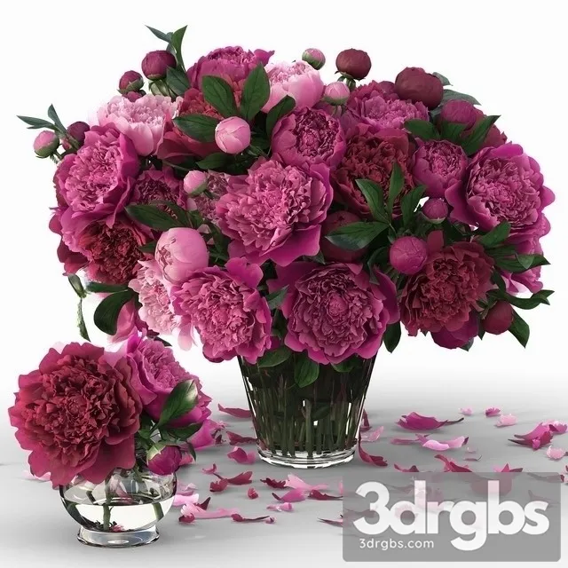 Peonies Purple Bouquet 3D Model Free