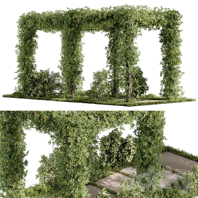 Pergola and Plant - Set 89 3D Model
