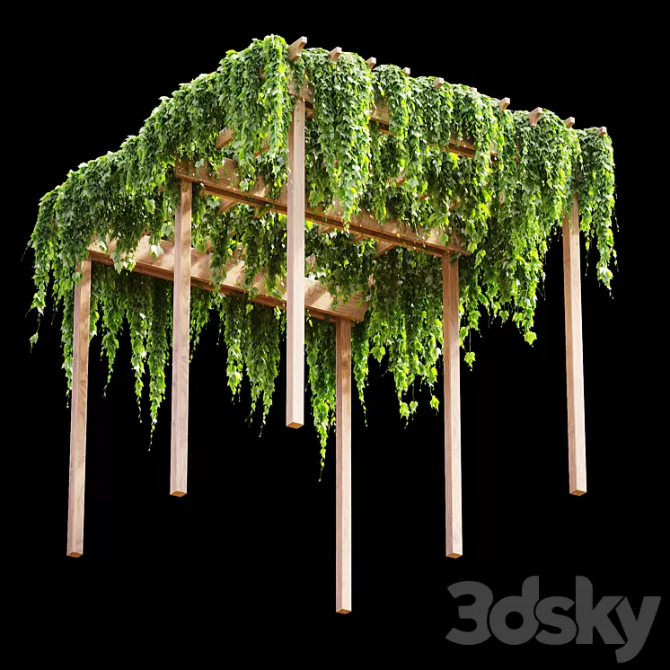 Pergola with grape leaves v2