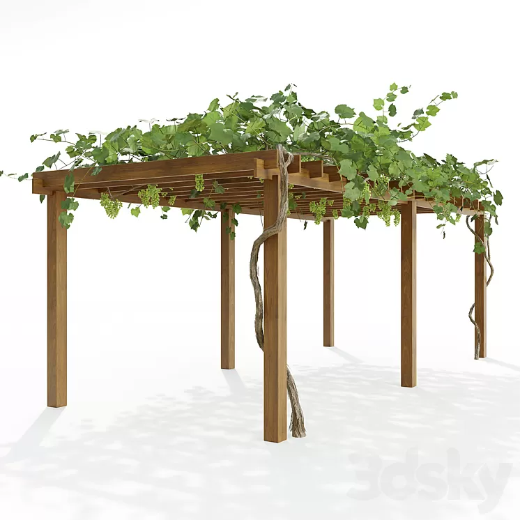 Pergola with grapes 3D Model