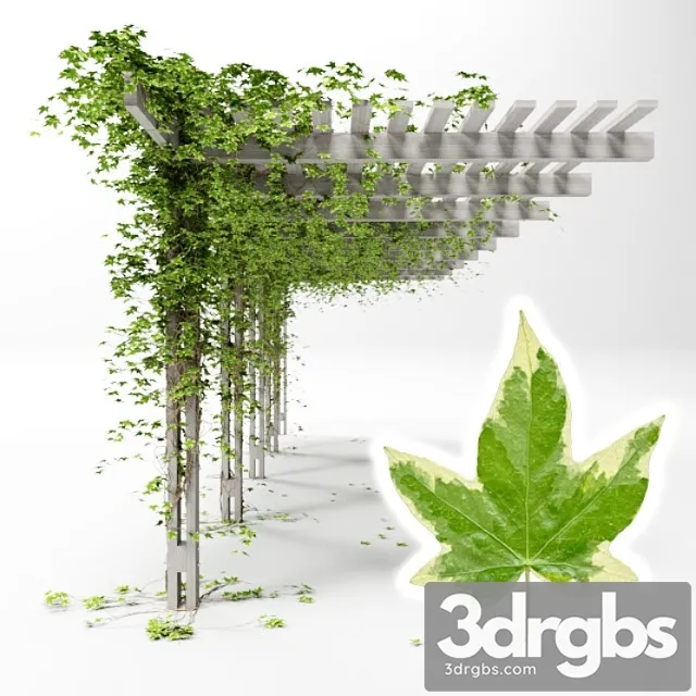 Pergola with hedera helix goldchild ivy 3D Model Free