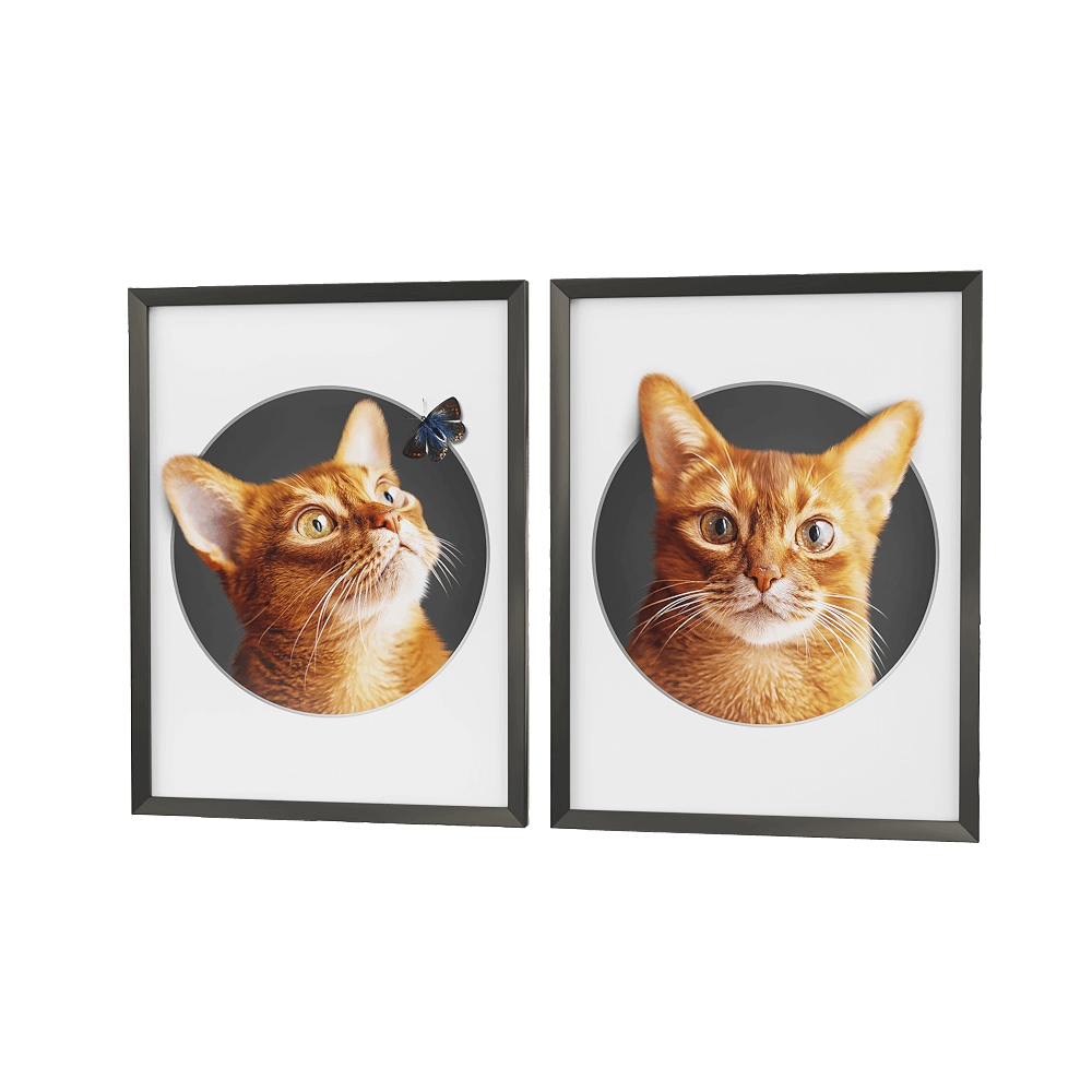 Petposter - Cat print 2 3D Model