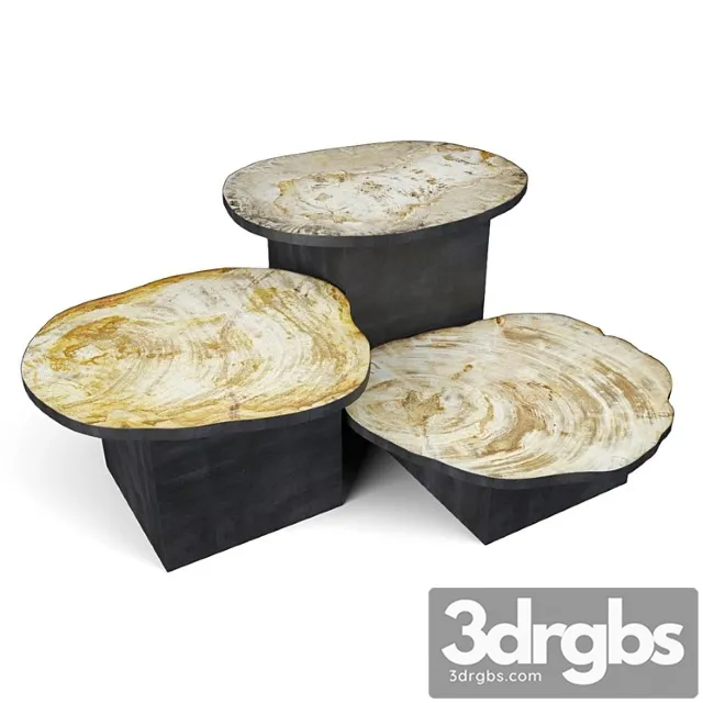 Petrified wood slice coffee tables 8