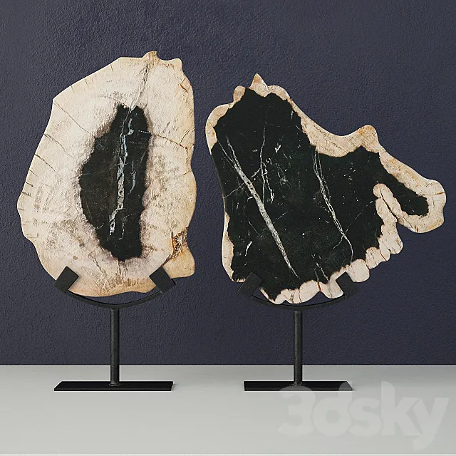 Petrified Wood Slices On Stand 3D Model