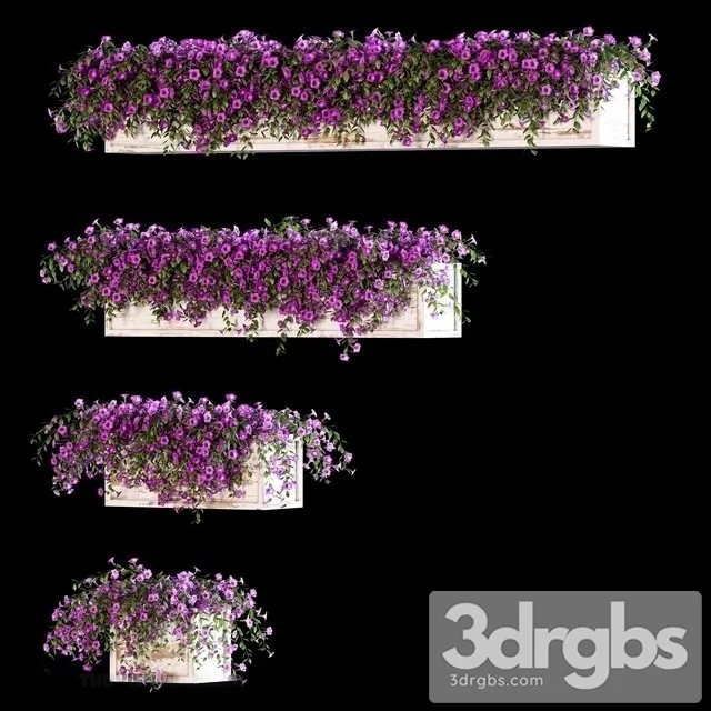 Petunia Bouquet Set 3D Model Free