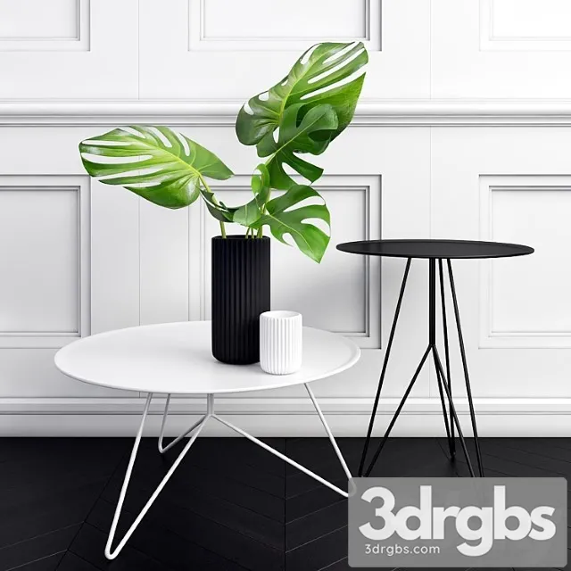Philodendron 3D Model Free