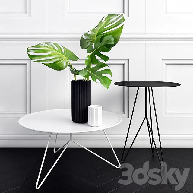 Philodendron 3D Model