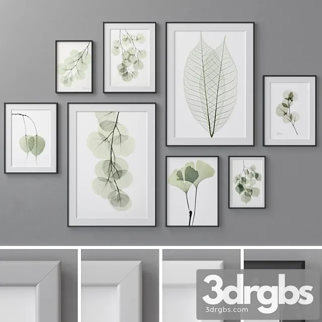 Photo frames set 462 3D Model Free