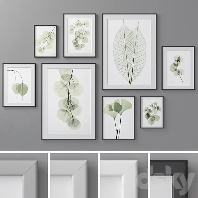 Photo Frames Set 462 3DModel