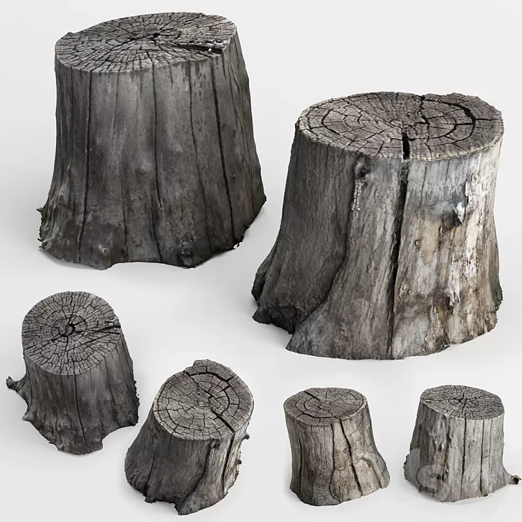 photoscan of two stumps 3D Model