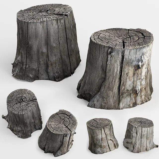 photoscan of two stumps Free Download
