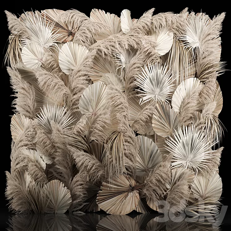 Phytostena of dried flowers pampas grass dry palm branches leaves Cortaderia and reeds. 274. 3D Model Free Download
