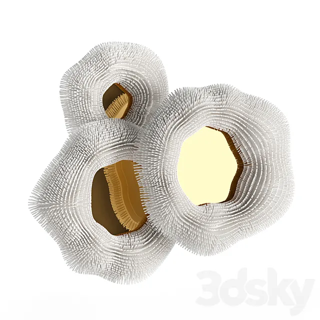 Pia Maria Raeder Sea Anemone Mirror 3D Model