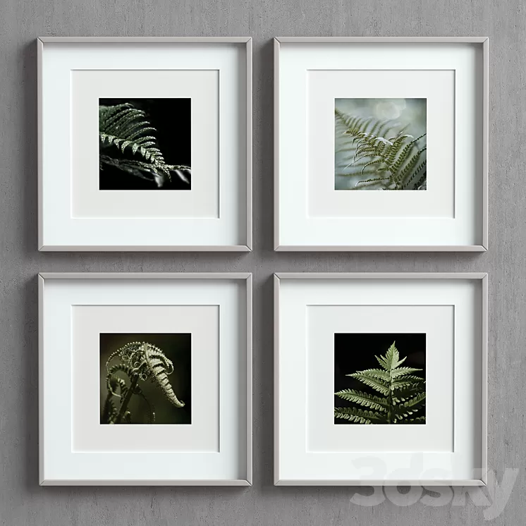 Picture Frames Set-50 3D Model