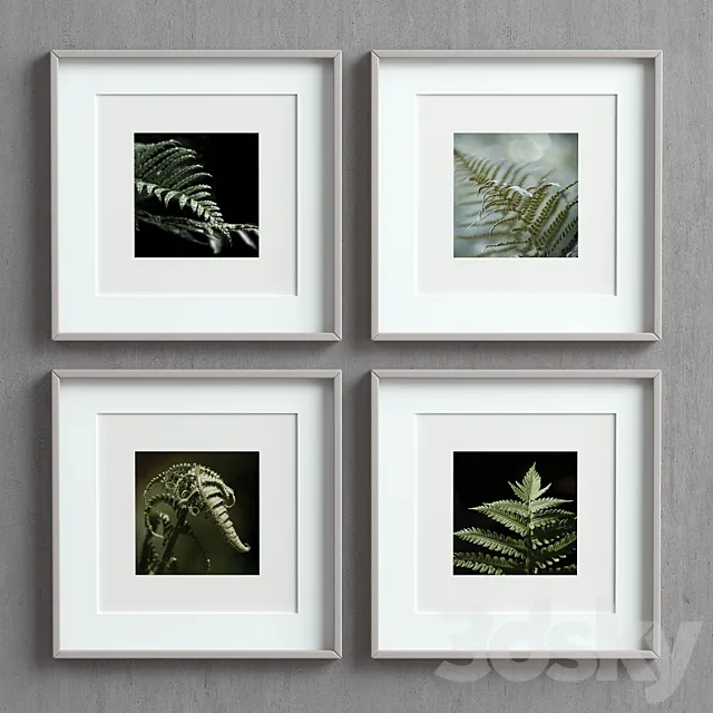 Picture Frames Set-50 Free Download