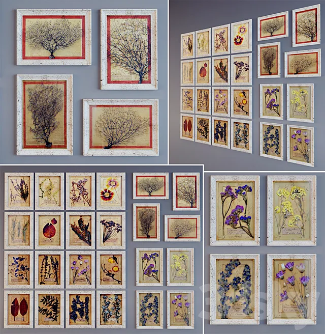 Picture Of The "Provence" 3DModel