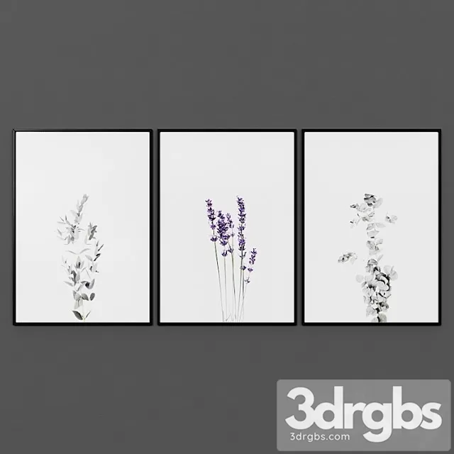 Picture Set 00054 3D Model Free