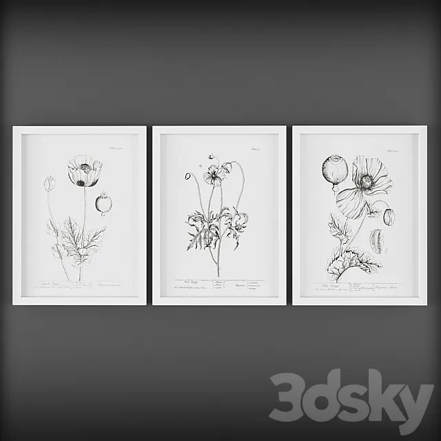 Pictures 250 3D Model