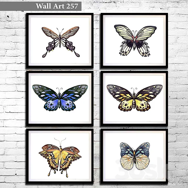 Pictures 257 3DModel