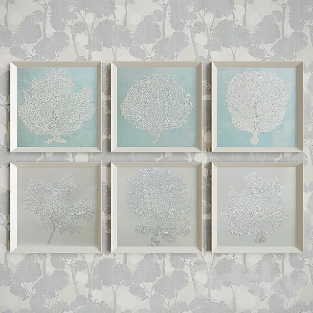 Pictures Seafan 3D Model