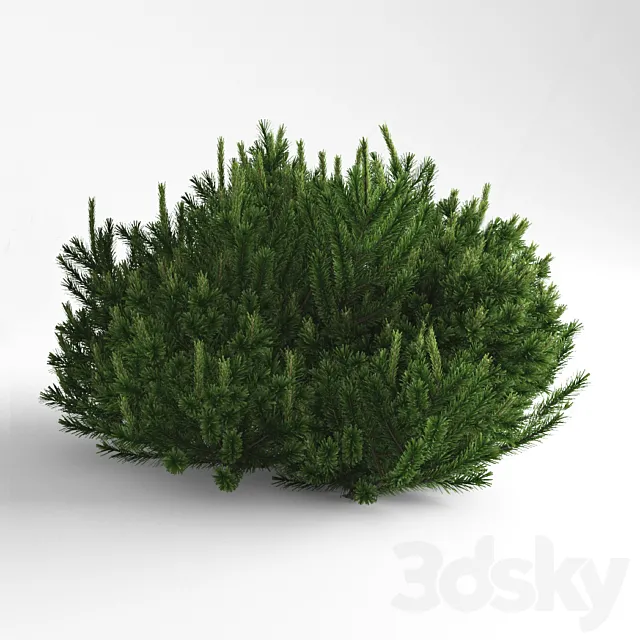 Pine Mountain Mugus 3DModel