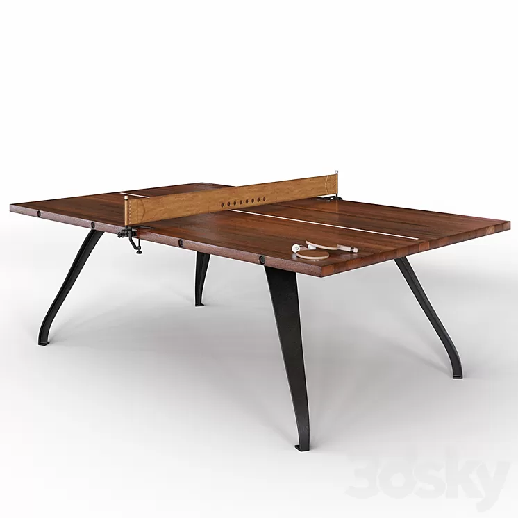 Ping pong table PING PONG TABLE - BURNT UMBER 3D Model